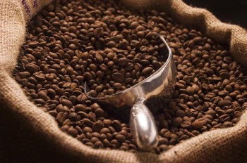 Bourbon Santos  --  Brazilian